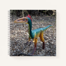 Niedliches farbiges Dinosaurier-Quadrat-Notebook