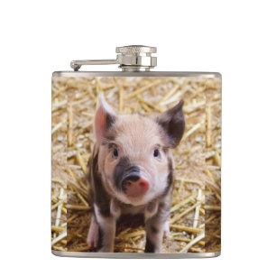 Niedliches Ferkel Flachmann