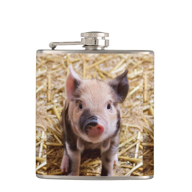 Niedliches Ferkel Flachmann (Vorderseite)