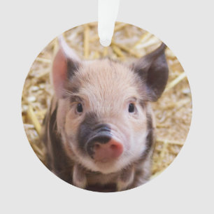 Niedliches Ferkel Ornament