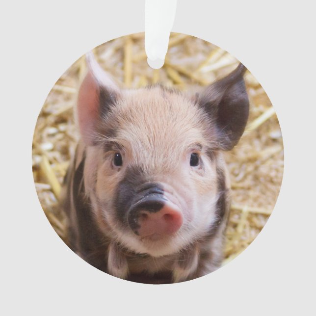 Niedliches Ferkel Ornament (Vorderseite)