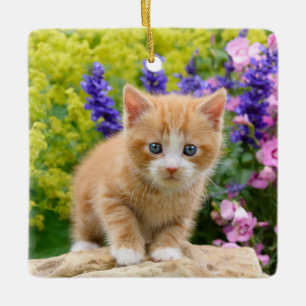 Niedliches flaumiges Ingwer-Baby-Katzen-Kätzchen Keramikornament