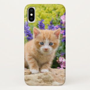 Niedliches flaumiges Ingwer-Katzen-Kätzchen im Case-Mate iPhone Hülle
