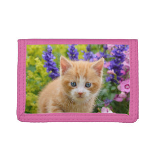 Niedliches flaumiges Ingwer-Katzen-Kätzchen im Tri-fold Portemonnaie