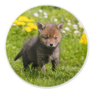 Niedliches flauschiges Red Fox Cub Wild Baby - dek Keramikknauf