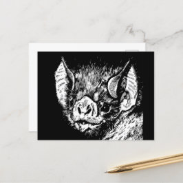 Niedliches Fledermausgesicht. Grafik, zeichnend. Postkarte