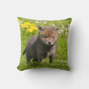 Niedliches Fluffy Red Fox Cub Wild Baby Animal Fot Kissen
