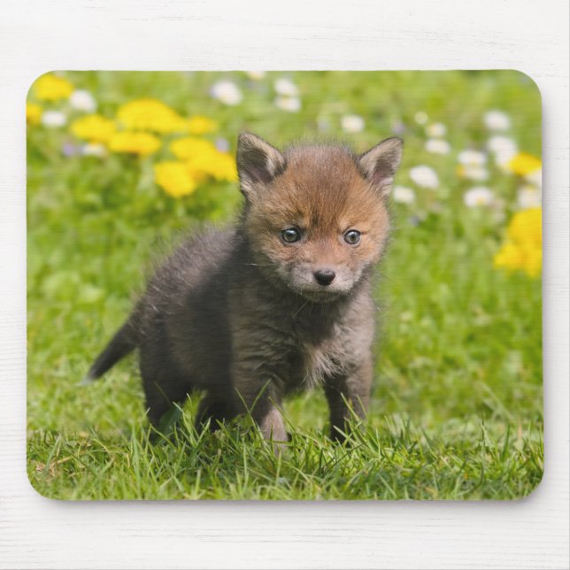 Niedliches Fluffy Red Fox Cub Wild Baby Animal Fot Mousepad (Vorne)