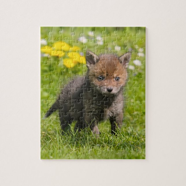 Niedliches Fluffy Red Fox Cub Wild Baby Animal Gam (Vertikal)