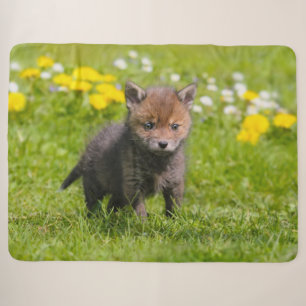 Niedliches Fluffy Red Fox Kit Cub Wild Baby Animal Sherpadecke