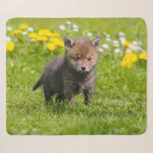 Niedliches Fluffy Red Fox Kit Cub Wild Baby Animal Sherpadecke