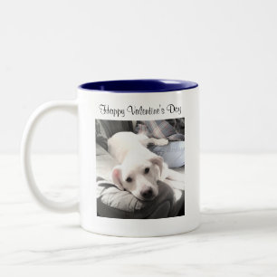 Niedliches Foto eines weißen Hundes mit Vater blau Zweifarbige Tasse