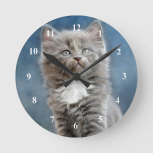 Niedliches Foto Grau und White Kitten Runde Wanduhr