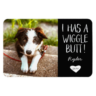 Niedliches Foto "I has a Wiggle Hintern" | Schwarz Magnet