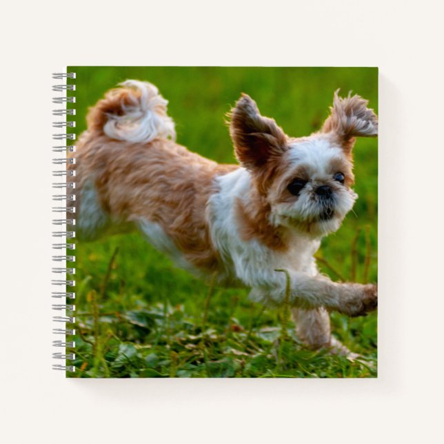 Niedliches Foto mit Shih Tzu Dog Notizbuch (Vorderseite)