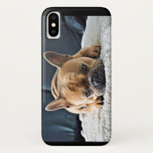 Niedliches französisches Bulldog-Foto Case-Mate iPhone Hülle
