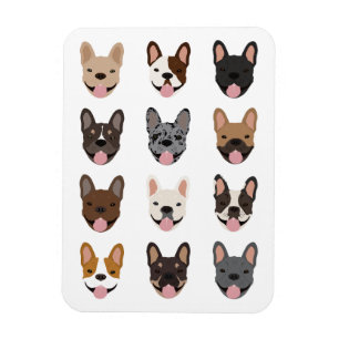 Niedliches französisches Bulldoggeflecht Magnet
