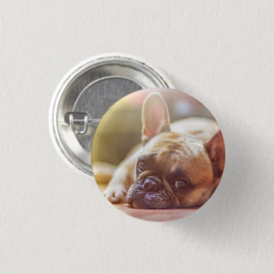 Niedliches französisches Bulldoggesicht Button