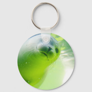 Niedliches freundliches Siegel Unterwasser Schlüsselanhänger