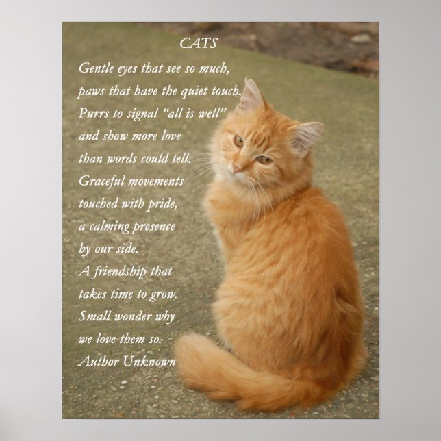 Niedliches Gedicht Orange Kitten Cat Poster (Vorne)