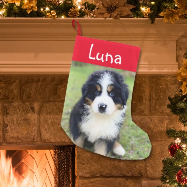 Niedliches Geschenk für Berner Liebhaber der Berne Kleiner Weihnachtsstrumpf (Von Creator hochgeladen)
