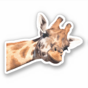 Niedliches Giraffe-Portrait Aufkleber