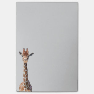 Niedliches Giraffengesicht Post-it Klebezettel