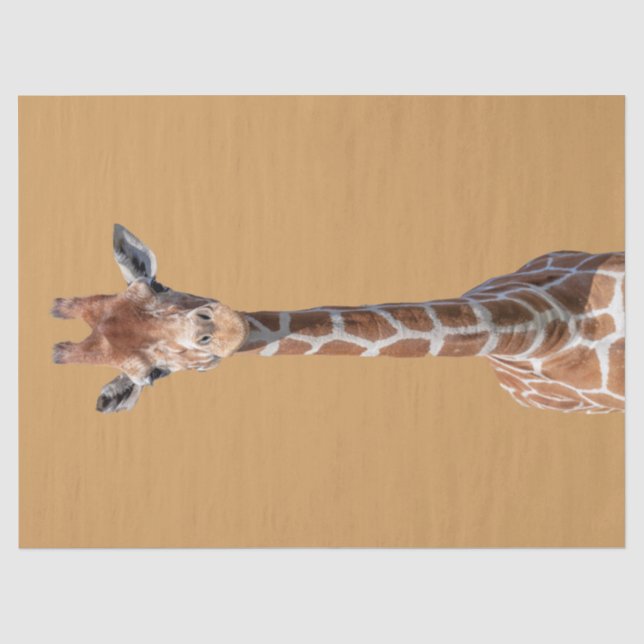 Niedliches Giraffengesicht Seidenpapier (Vorderseite)