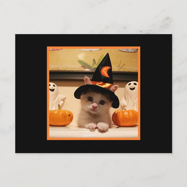 Niedliches glückliches Halloween Kätzchen und Hexe Postkarte (Vorderseite)