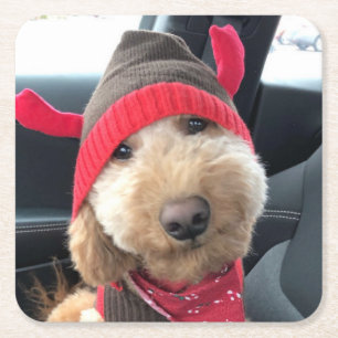 Niedliches Goldendoodle im Weihnachtsgeschäft Rechteckiger Pappuntersetzer
