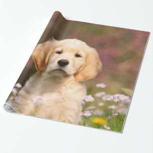 Niedliches goldener Retriever-Hundewelpen-Porträt Geschenkpapier