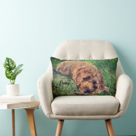Niedliches Goldenes Doodle Lendenkissen