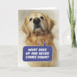 Niedliches Goldenes Retridium Funny Birthday Riddl Karte<br><div class="desc">Das ist Riley,  ein schöner Goldener Retriever,  der die alte Frage frage: "Was geht hoch und kommt nie runter?" Die Antwort: "Dein Alter!" Sie entschuldigt sich auch beim Sprichwort,  "Entschuldigung,  ich habe es nicht gemein,  es einzureiben." Natürlich tat sie das! Vergnügungskarte für Goldene Liebhaber mit einem Sinn für Spaß.</div>