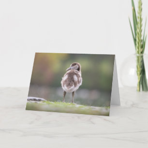 Niedliches Gosling Nature Foto Karte