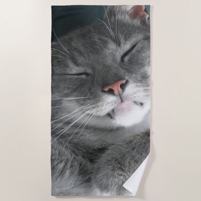 Niedliches graues Katzen-Badetuch Strandtuch (Vorderseite)