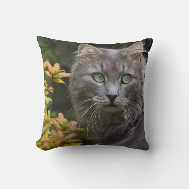 Niedliches graues Katzenwurfkissen Kissen (Vorderseite)