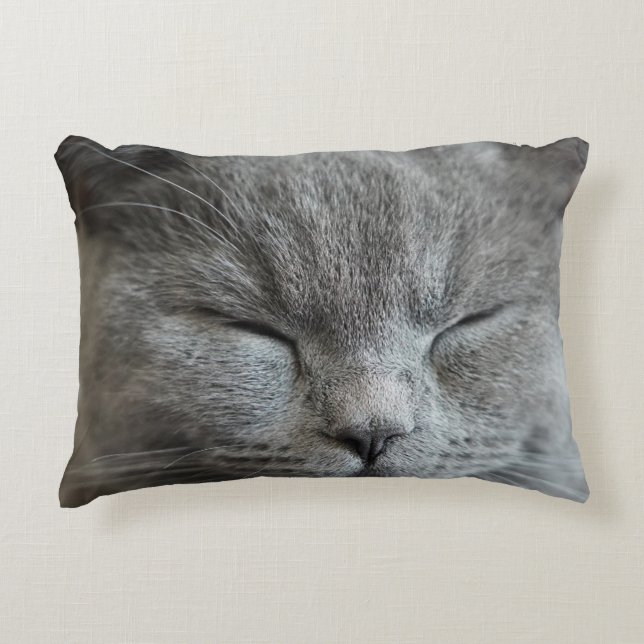 Niedliches graues Kitty Cat Foto Akzentkissen Dekokissen (Vorderseite)