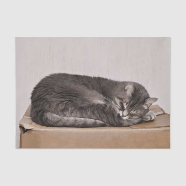 Niedliches graues Tabby - Katzen - Schlafen Seidenpapier (Vorderseite)