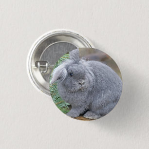 Niedliches Graukaninchen Button