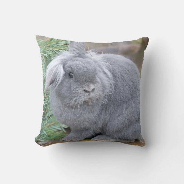 Niedliches Graukaninchen Kissen (Vorderseite)