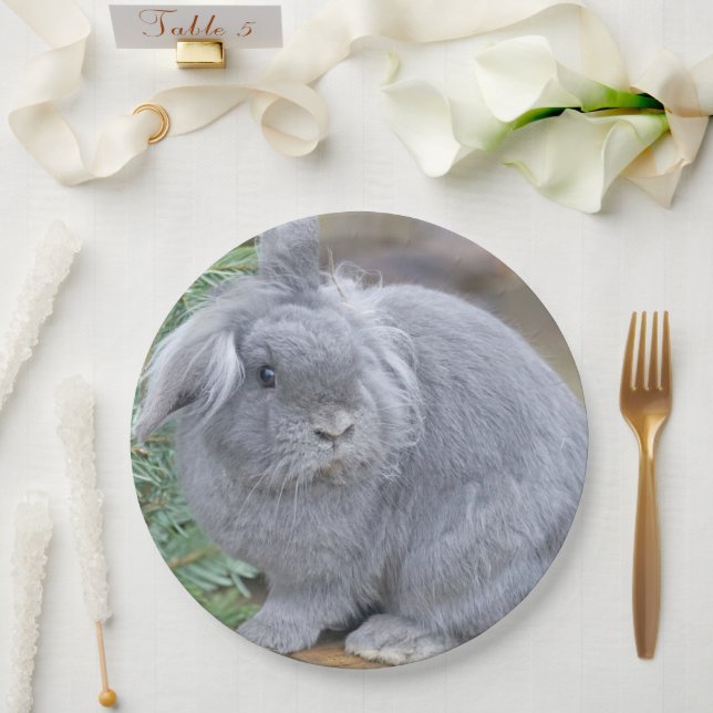 Niedliches Graukaninchen Pappteller (Hochzeit)