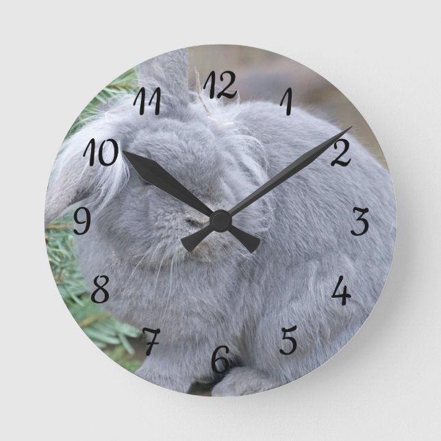 Niedliches Graukaninchen Runde Wanduhr (Vorderseite)
