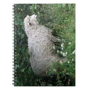 Niedliches Greedy Sheep Eating Notebook Notizblock