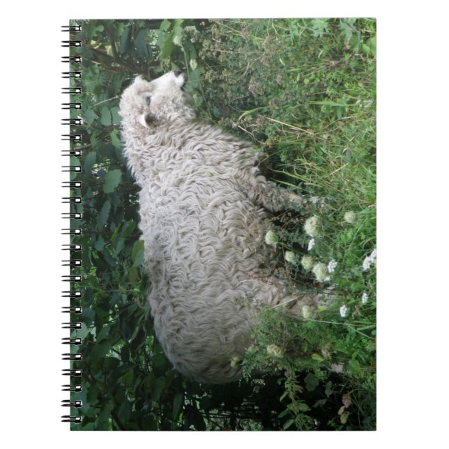 Niedliches Greedy Sheep Eating Notebook Notizblock (Vorderseite)