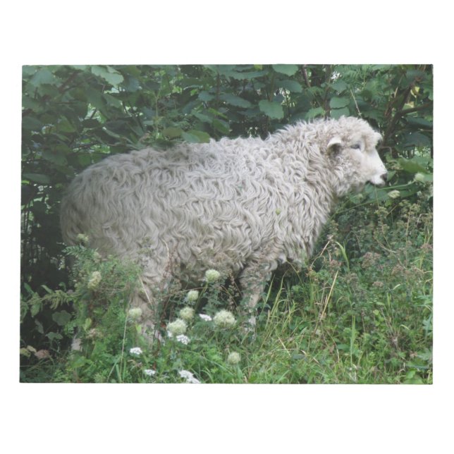 Niedliches Greedy Sheep Eating Notepad Notizblock (Vorderseite)