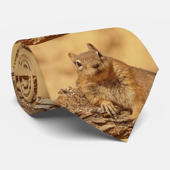 Niedliches Grundeichhörnchen Krawatte (Gerollt)