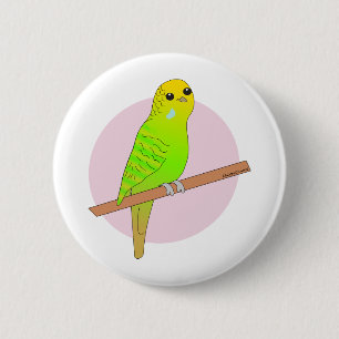 Niedliches grünes Budgie Button