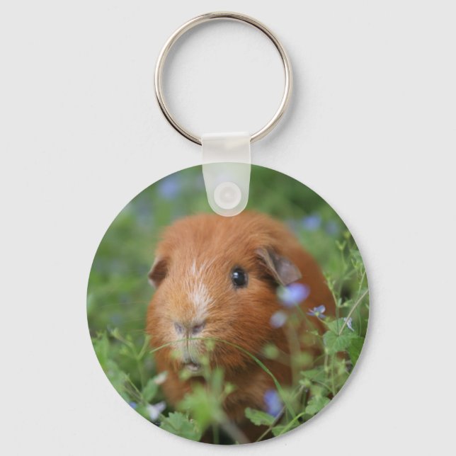 Niedliches Guinea-Schwein mit Ingwer draußen auf G Schlüsselanhänger (Vorderseite)
