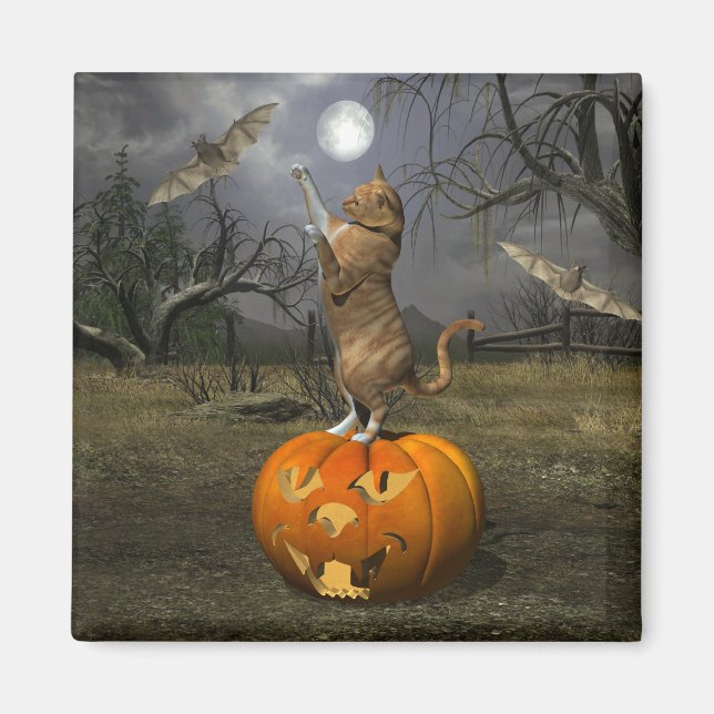 Niedliches Halloween-Orange-Katzen-Batzen Magnet (Vorne)
