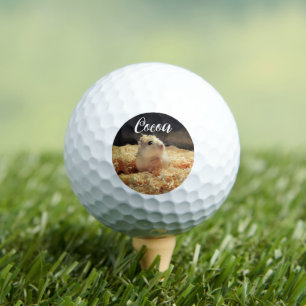 Niedliches Hamstergeschenk für Hamsterliebhaber Golfball
